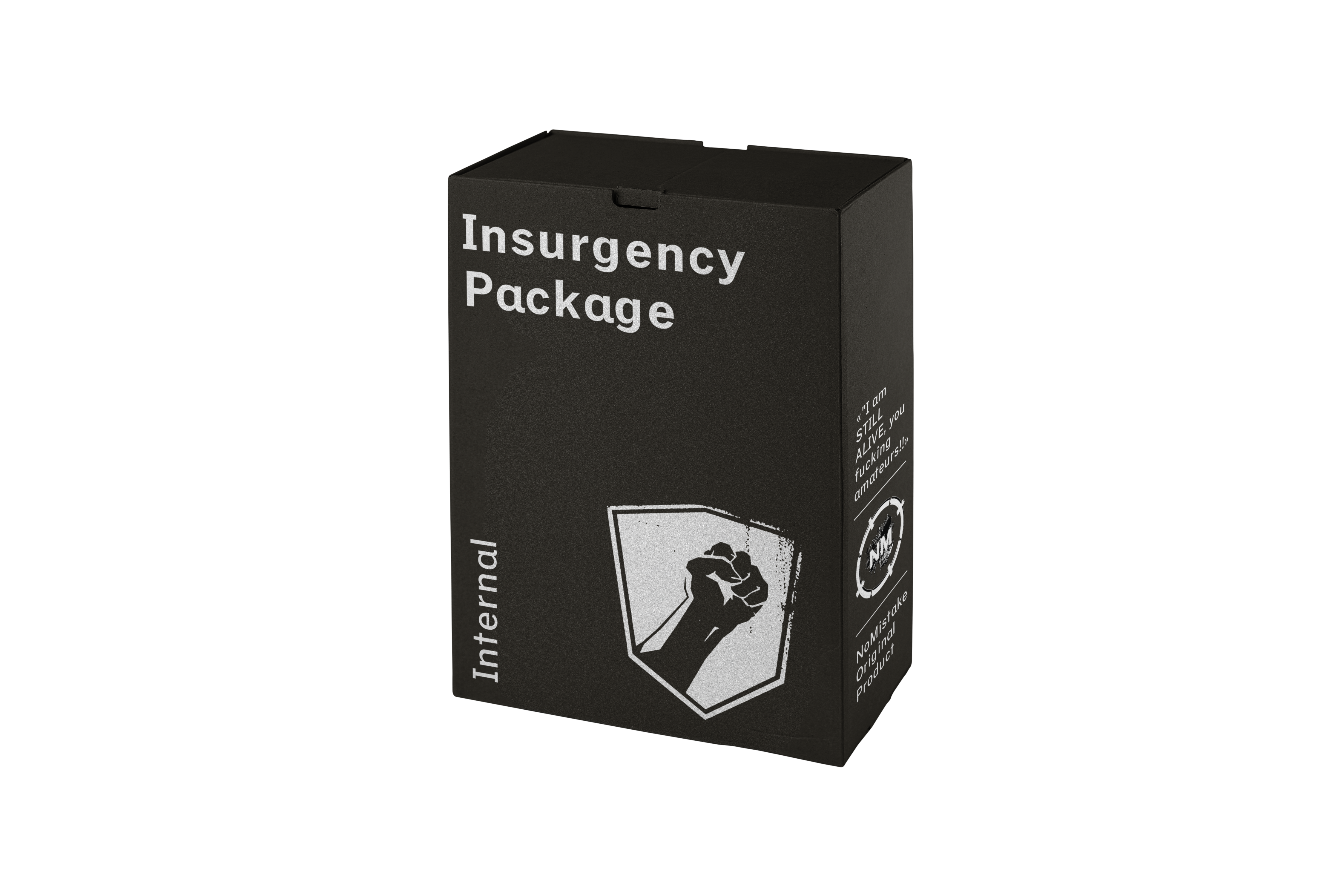 Insurgency